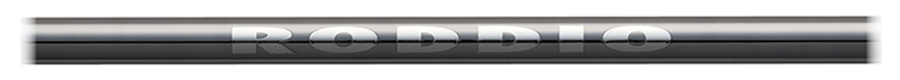 Logo Chrome Silver