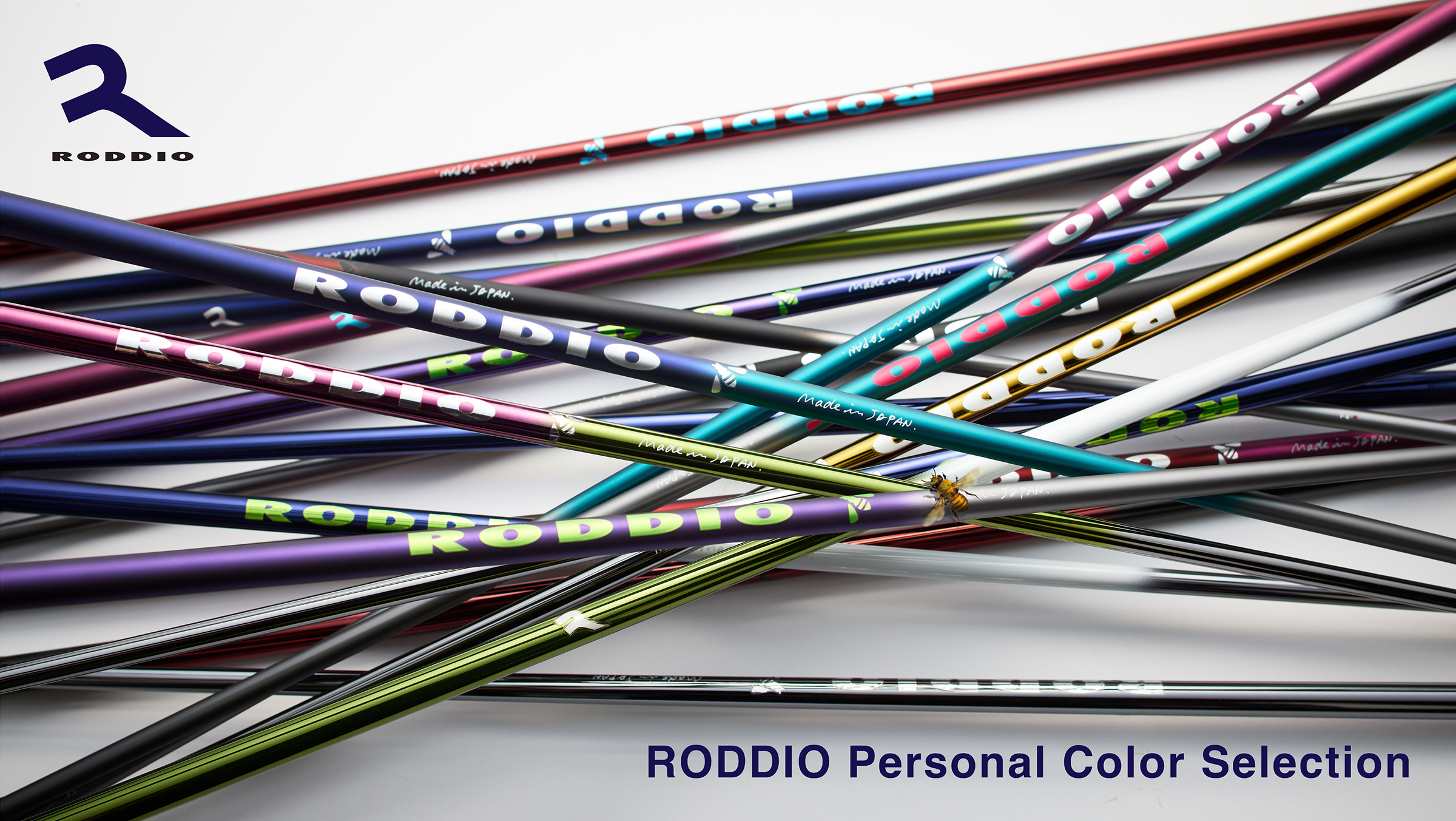 PERSONAL COLOR SELECTION