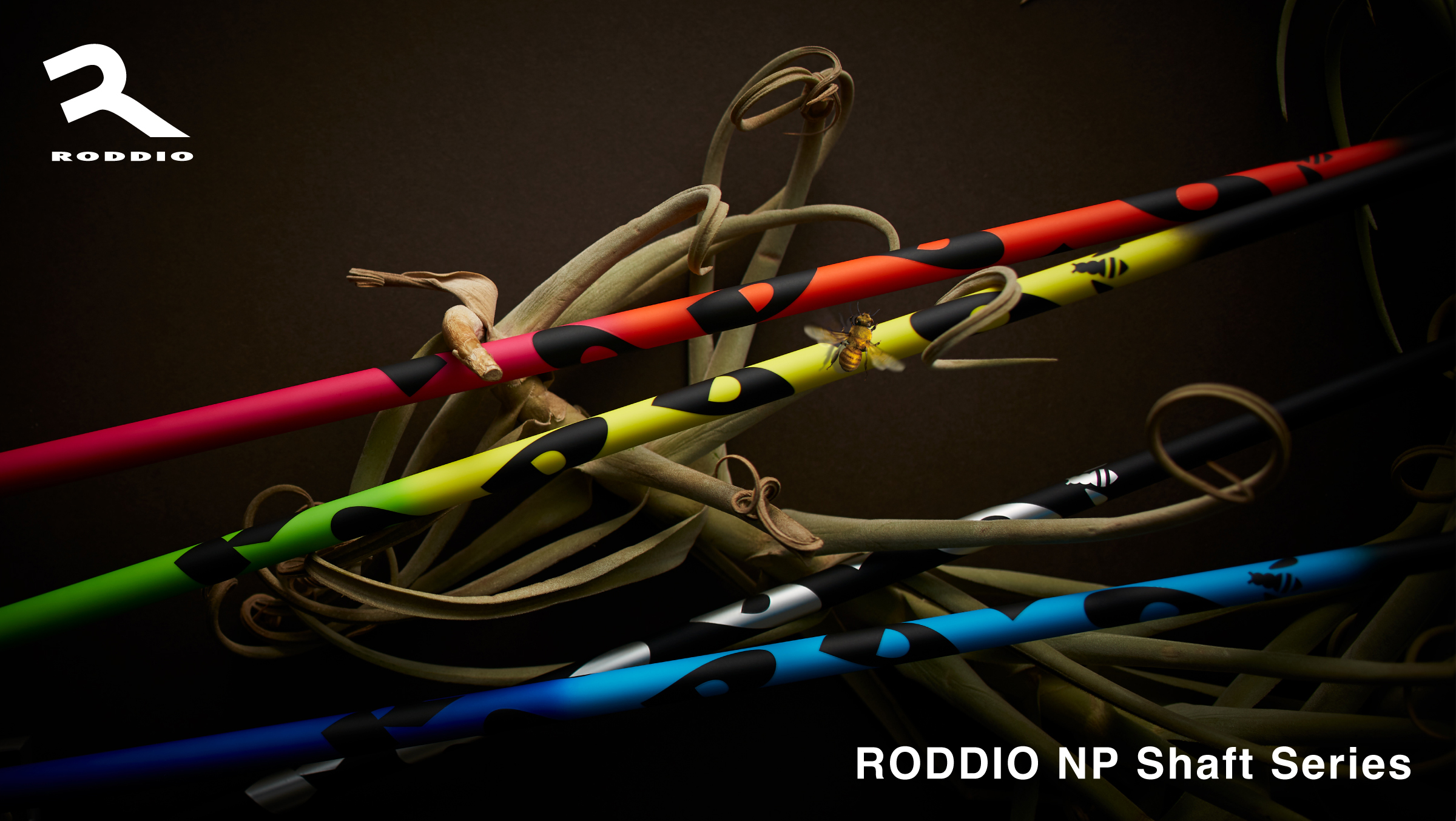 Roddio,ロッディオ | RODDIO